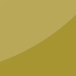 Zenolite Acrylic Wall Panel - 2400 X 1000mm - Forest