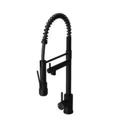Rona Pull And Spray Tap - Matt Black